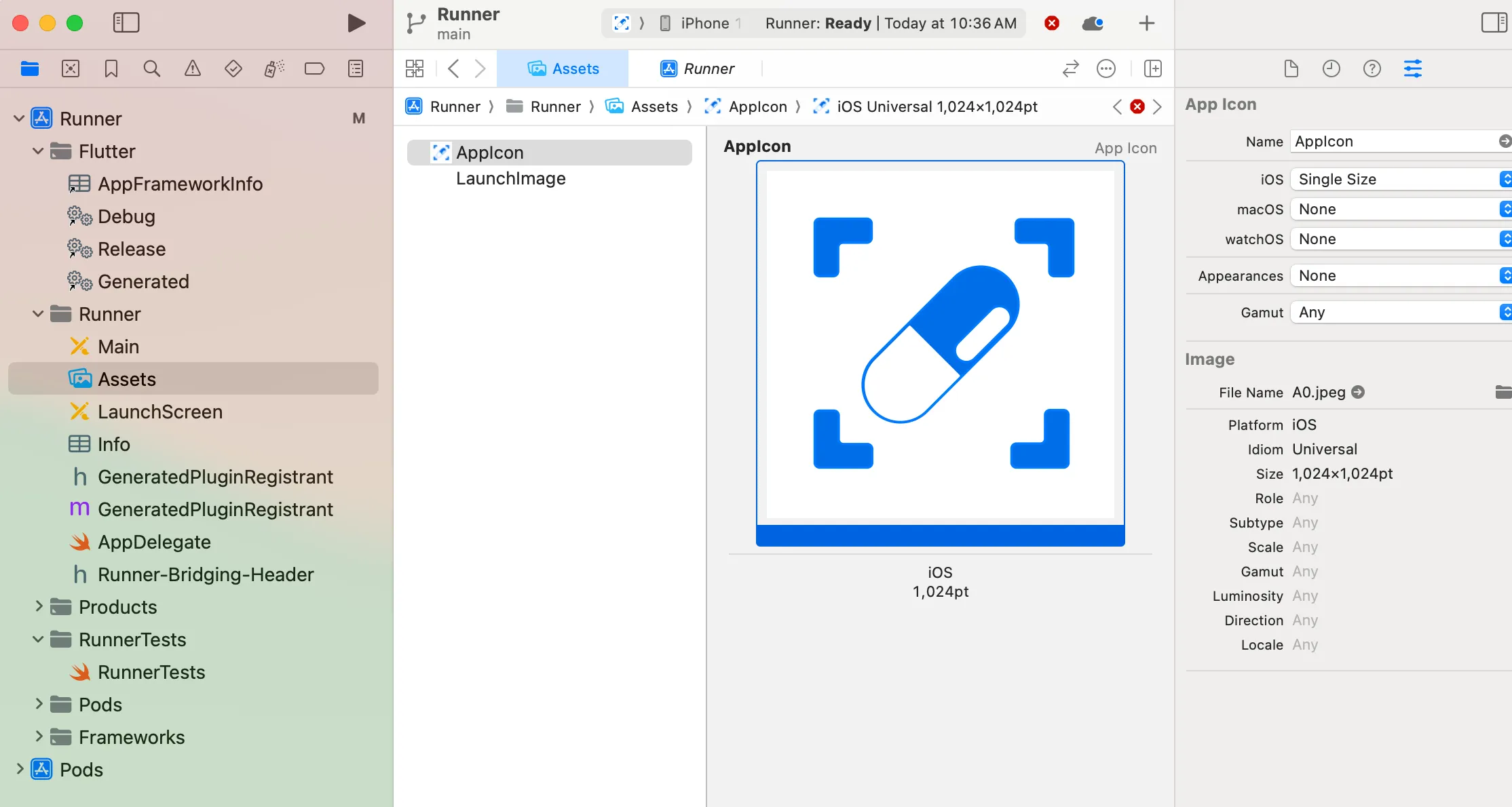 Xcode AppIcon